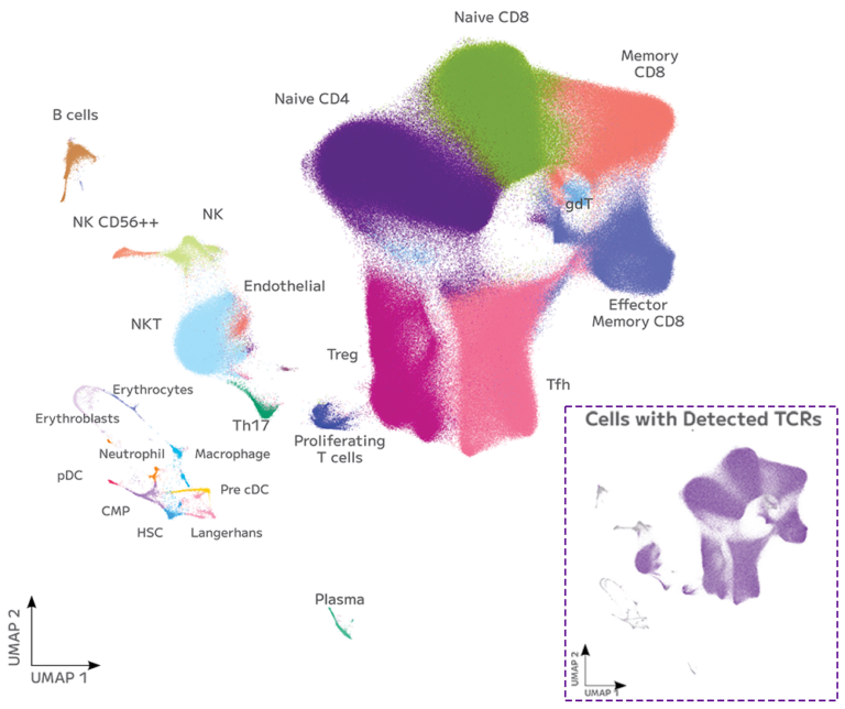 Tcr Single Cell Immune Profiling Parse Biosciences